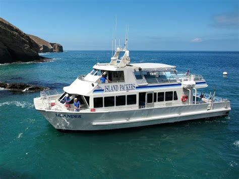 island packers cruises website.